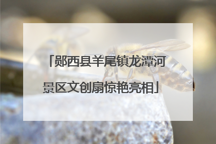 郧西县羊尾镇龙潭河景区文创扇惊艳亮相