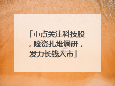 重点关注科技股，险资扎堆调研，发力长钱入市