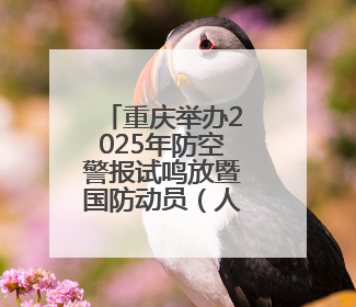 重庆举办2025年防空警报试鸣放暨国防动员（人民防空）宣传教育活动