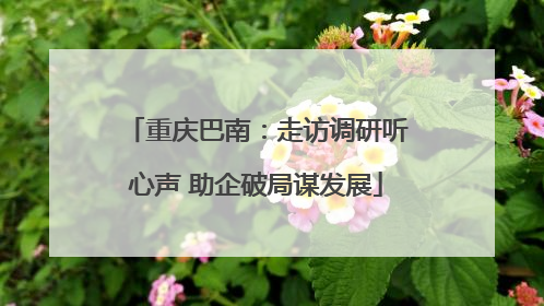 重庆巴南：走访调研听心声 助企破局谋发展
