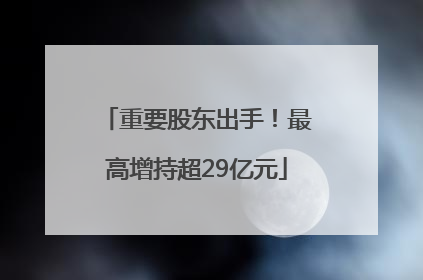 重要股东出手！最高增持超29亿元
