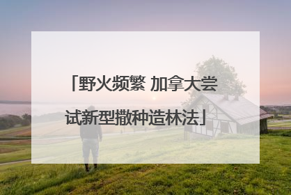 野火频繁 加拿大尝试新型撒种造林法