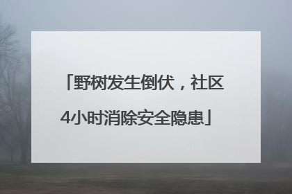 野树发生倒伏，社区4小时消除安全隐患