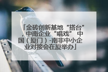 金砖创新基地“搭台”，中南企业“唱戏” 中国（厦门）-南非中小企业对接会在厦举办