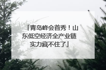 青岛峰会首秀！山东低空经济全产业链实力藏不住了