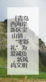 青岛西海岸新区宝山镇：“零彩礼”为爱减负，新风尚文明加分