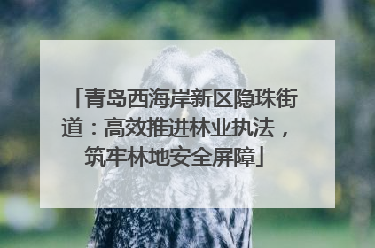 青岛西海岸新区隐珠街道：高效推进林业执法，筑牢林地安全屏障