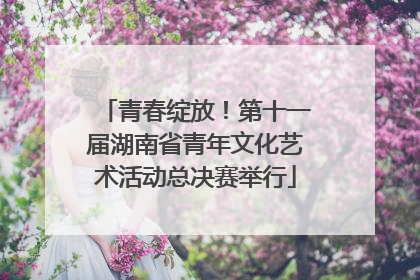 青春绽放！第十一届湖南省青年文化艺术活动总决赛举行
