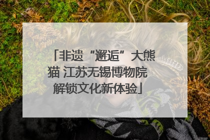 非遗“邂逅”大熊猫 江苏无锡博物院解锁文化新体验