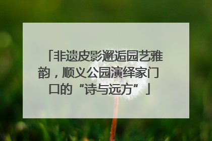 非遗皮影邂逅园艺雅韵，顺义公园演绎家门口的“诗与远方”