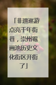非遗巡游点亮千年街巷，崇州罨画池历史文化街区开街了