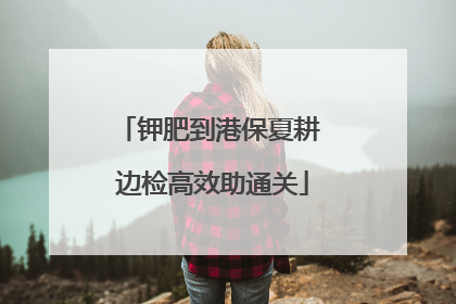 钾肥到港保夏耕 边检高效助通关