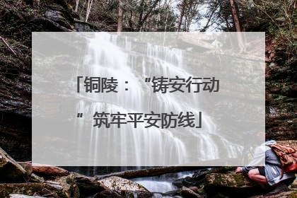 铜陵：“铸安行动”筑牢平安防线