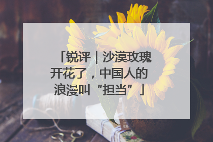 锐评｜沙漠玫瑰开花了，中国人的浪漫叫“担当”