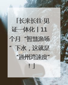 长来长往·见证一体化丨11个月“智慧渔场”下水，这就是“通州湾速度”！