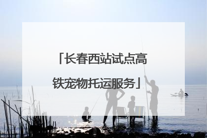 长春西站试点高铁宠物托运服务
