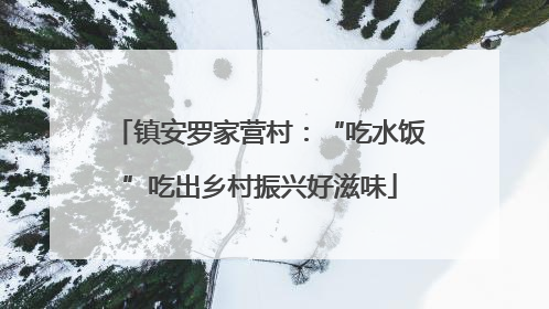 镇安罗家营村：“吃水饭”吃出乡村振兴好滋味