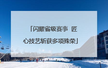 闪耀省级赛事  匠心技艺斩获多项殊荣