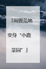 闲置荒地变身“小鹿菜园”