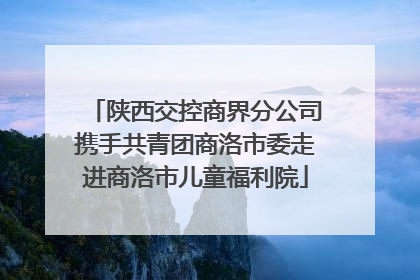 陕西交控商界分公司携手共青团商洛市委走进商洛市儿童福利院