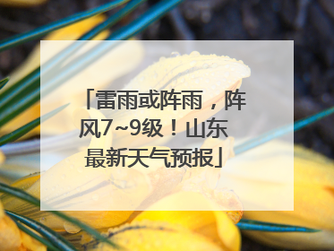 雷雨或阵雨，阵风7~9级！山东最新天气预报