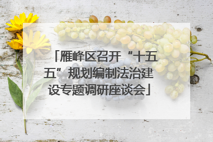 雁峰区召开“十五五”规划编制法治建设专题调研座谈会
