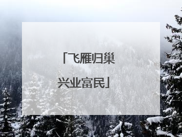 飞雁归巢 兴业富民