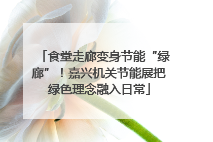 食堂走廊变身节能“绿廊”！嘉兴机关节能展把绿色理念融入日常