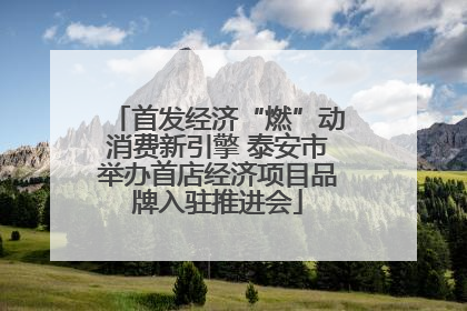 首发经济“燃”动消费新引擎 泰安市举办首店经济项目品牌入驻推进会