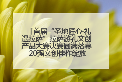 首届“圣地匠心·礼遇拉萨”拉萨游礼文创产品大赛决赛圆满落幕 20强文创佳作绽放雪域文化魅力