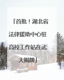 首批！湖北省法律援助中心驻高校工作站在武大揭牌
