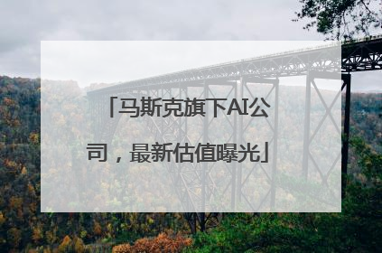 马斯克旗下AI公司，最新估值曝光