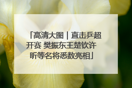 高清大图｜直击乒超开赛 樊振东王楚钦许昕等名将悉数亮相