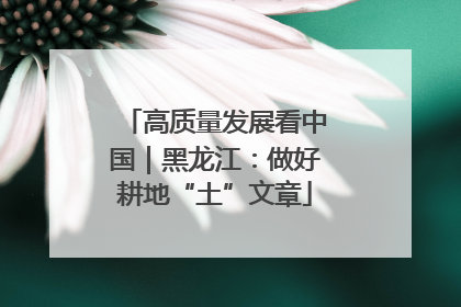 高质量发展看中国｜黑龙江：做好耕地“土”文章