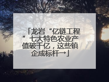 龙岩“亿链工程”七大特色农业产值破千亿，这些镇企成标杆→
