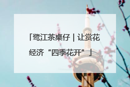 鹭江茶桌仔｜让赏花经济“四季花开”