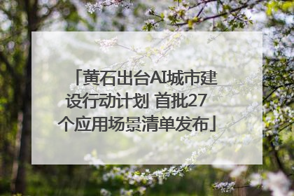 黄石出台AI城市建设行动计划 首批27个应用场景清单发布