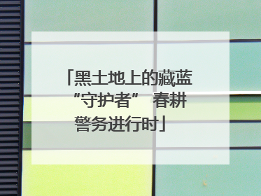 黑土地上的藏蓝“守护者” 春耕警务进行时