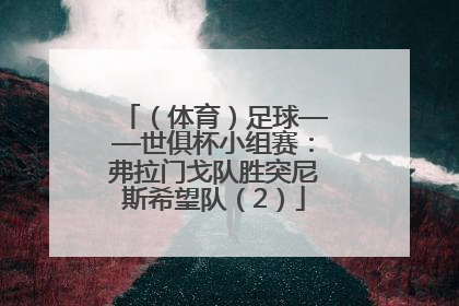 （体育）足球——世俱杯小组赛：弗拉门戈队胜突尼斯希望队（2）