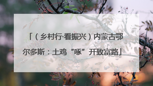 （乡村行·看振兴）内蒙古鄂尔多斯：土鸡“啄”开致富路