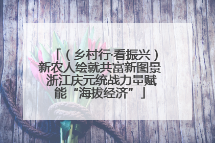 （乡村行·看振兴）新农人绘就共富新图景 浙江庆元统战力量赋能“海拔经济”