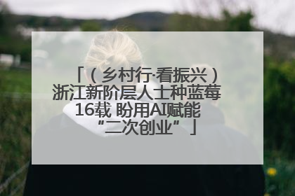 （乡村行·看振兴）浙江新阶层人士种蓝莓16载 盼用AI赋能“二次创业”