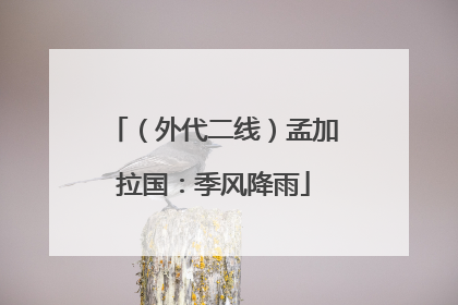 （外代二线）孟加拉国：季风降雨