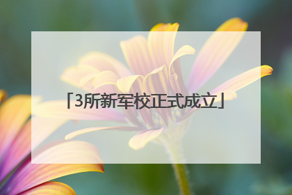 3所新军校正式成立