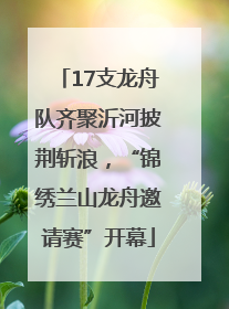 17支龙舟队齐聚沂河披荆斩浪，“锦绣兰山龙舟邀请赛”开幕
