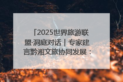 2025世界旅游联盟·洞庭对话｜专家建言黔湘文旅协同发展：聚焦产品稀缺性 深化区域经验共享