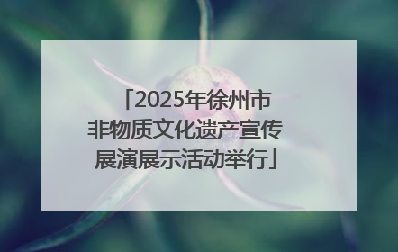 2025年徐州市非物质文化遗产宣传展演展示活动举行