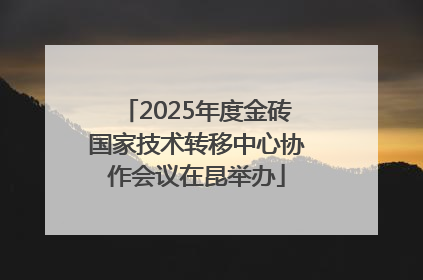 2025年度金砖国家技术转移中心协作会议在昆举办