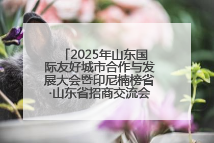 2025年山东国际友好城市合作与发展大会暨印尼楠榜省·山东省招商交流会在济南槐荫举行