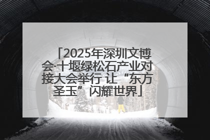 2025年深圳文博会·十堰绿松石产业对接大会举行 让“东方圣玉”闪耀世界